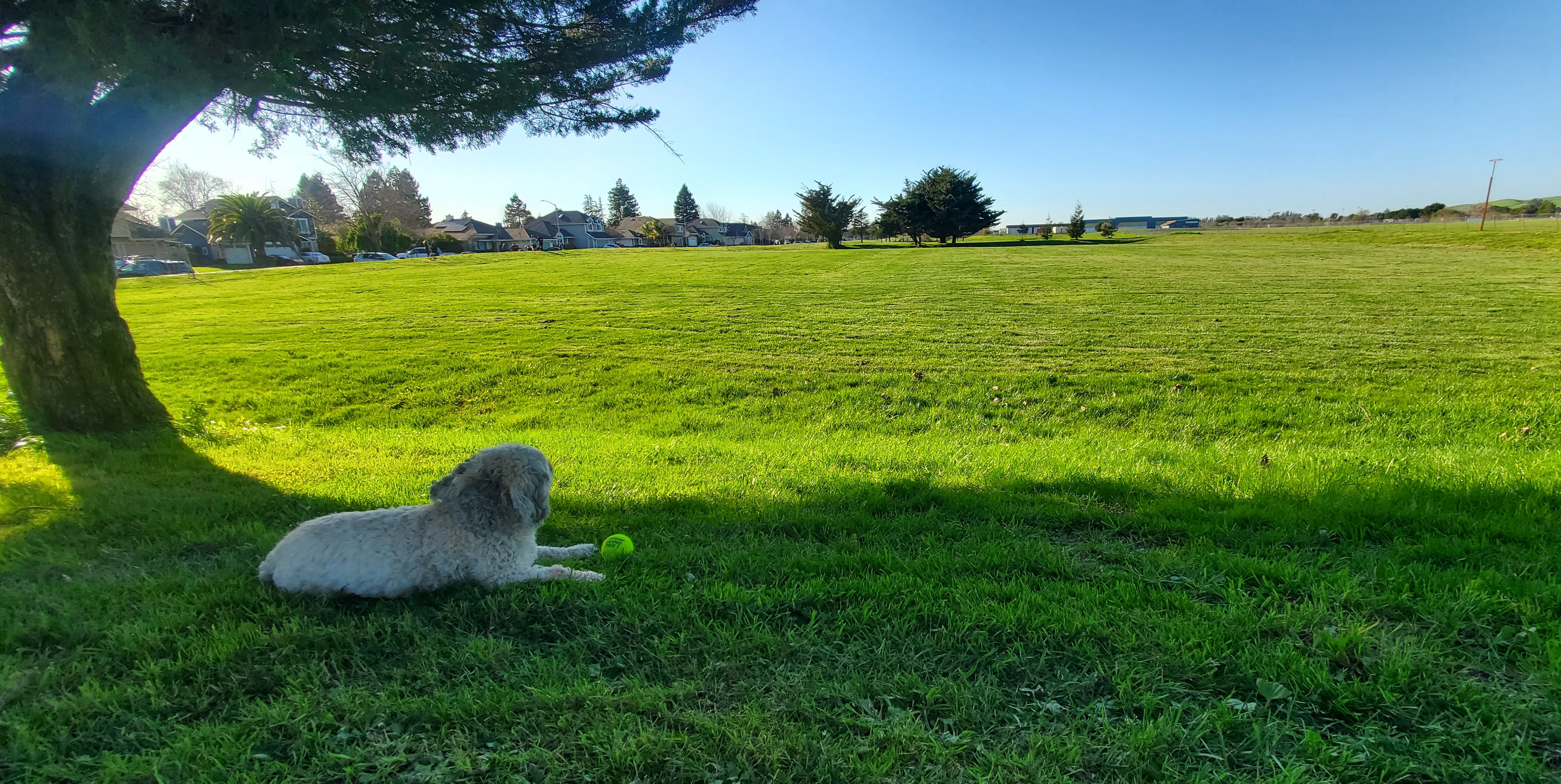 Lola photo 11