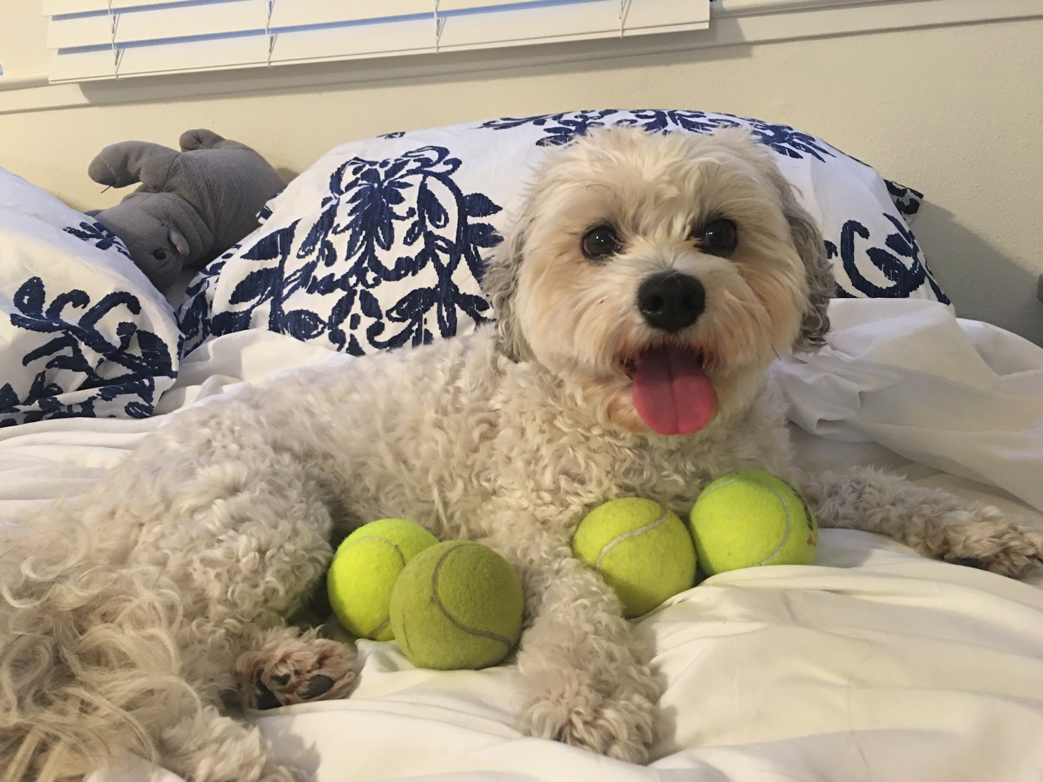 Lola photo 21