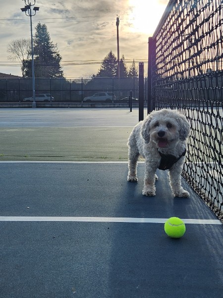 Lola photo 23