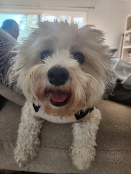 Lola photo 24