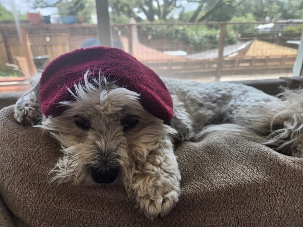 Lola photo 25