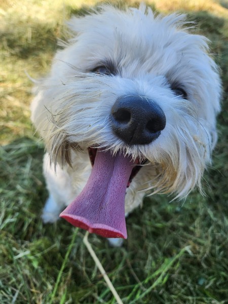 Lola portrait